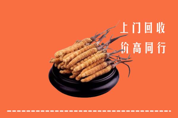 高价求购：镇坪县回收散虫草