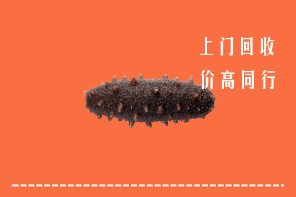 镇坪县回收海参