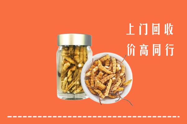 镇坪县回收冬虫夏草